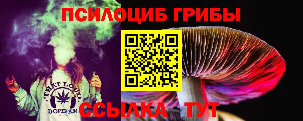 Гусиноозёрск  как найти наркотики  Вход с VPN  Псилоцибиновые грибы Cubensis 